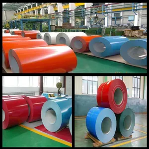 Hebei Jinhaichen Trading Company company overview - view 3 thumbnail