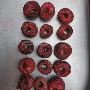 High Efficiency Automatic Fruit Pitting Machine Cherry Pitter Olive Pitter Machine for Fruit Processing Plants thumbnail-5