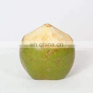 Fresh Coconut From Vietnam thumbnail-1