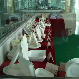 Shandong Tranlin Straw New Environmental Joint And Stock Co.,Ltd company overview - view 2 thumbnail
