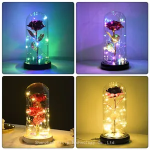 Artificial Preserved Roses in Glass Dome With LED Light Valentine's Day Gift for Women Mom Wholesale thumbnail-4