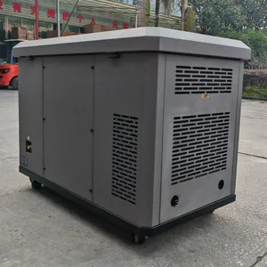Industrial 12KW Multi-fuel Silent Generator Dual Cylinder Gasoline LPG CNG LNG Natural Gas Emergency Generator thumbnail-1