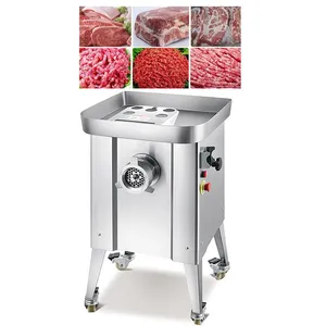QDMECH Multifunktionaler elektrischer Fleischwolf RL024 aus Edelstahl 304 für gefrorenes Fleisch, Fisch, Gemüse, Ingwer, Knoblauch und Chili thumbnail-1