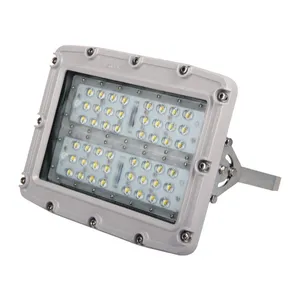 DGS80/127L(A) 20-80w Explosion-proof Laneway Lamp, Flameproof Tunnel Lamp thumbnail-1