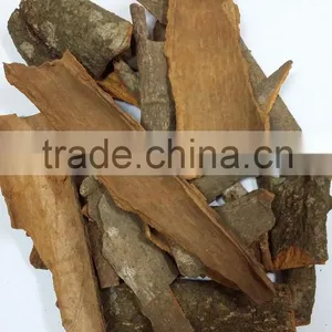 BROKEN CASSIA_ EXCELLENT QUALITY thumbnail-1