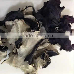 Dried White Back Black Fungus thumbnail-1