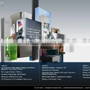 Flash Design, Flash Website Development, Best Flash Banner Website Design thumbnail-1