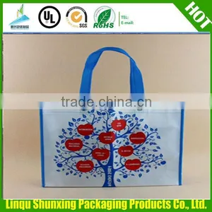 Eco-friendly Shopping Bag/non Woven Shopping Bag/ Bag Shopping thumbnail-4