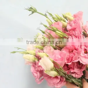 Fresh Newest Flower for Girlfriend thumbnail-3