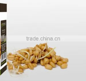 Wheat Germ Oil thumbnail-2