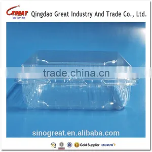 Perforated Custom Clamshell Fruit Packaging Container thumbnail-4