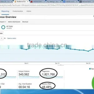 Search Engine Optimization Service thumbnail-2