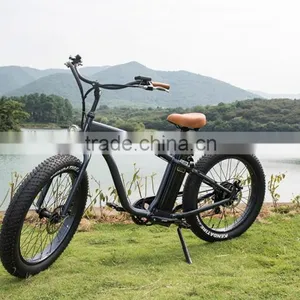 Diy Electric Motorized Bicycle Easy Rider Men e Bike Green City thumbnail-2
