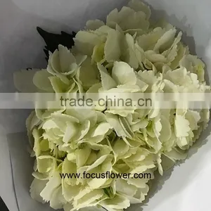 Wholesale Hydrangea Flowers For Wedding Flower Stand For Wedding thumbnail-4