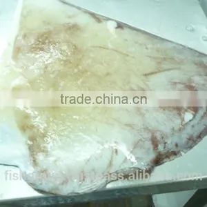 Giant Squid Wing thumbnail-3