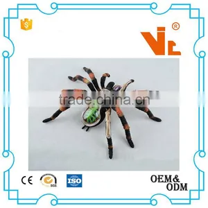 V-AM011 4D MASTER Spider Specimen Skeleton Anatomical Model With Organ thumbnail-4
