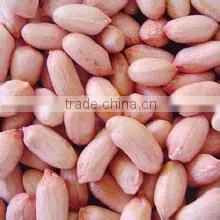 New Crop Peanut Kernels ,long and Round Type for Sale thumbnail-3