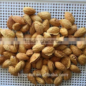 Roasted Salted Apricot Kernels Without Shell for Hot Sale thumbnail-5