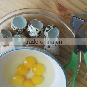Made In China Quail Eggs Scissors thumbnail-3