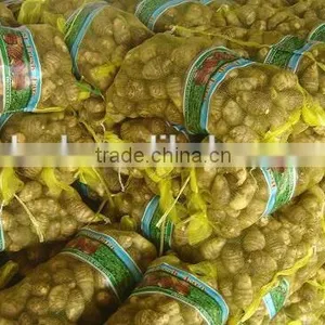 Chinese Taro Root 60g and up thumbnail-4