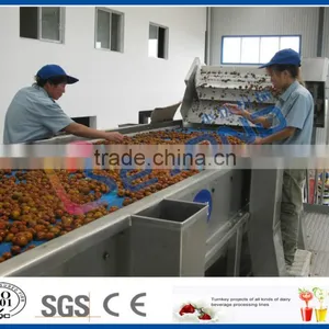Date Syrup Processing thumbnail-4