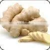 Fresh Ginger thumbnail-1