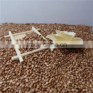 High Quality Sweet Raw Buckwheat Roasted Buckwheat Kernel Price thumbnail-5