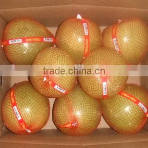 Pomelo Fruit for Pomelo Juice for Sale thumbnail-2