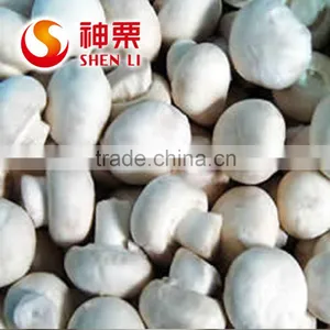 Frozen Agaricus Bisporus IQF Agaricus Bisporus thumbnail-1