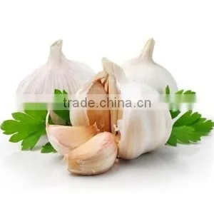 Cheap Wholesale Natural White Fresh Garlic Supplier thumbnail-1