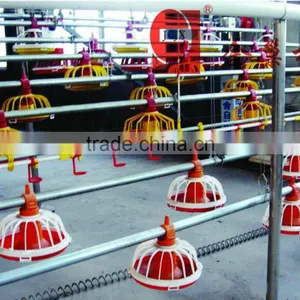 Poultry Automatic Feeding and Drinking System thumbnail-1