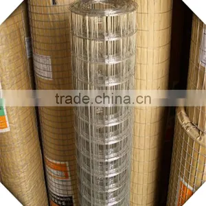 Galvanized Welded Wire Mesh / Weled Wire Mesh Factory thumbnail-3