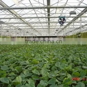 Greenhouse Manufacturing thumbnail-1