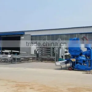Nut Sorting Machine Nuts Sorter thumbnail-5