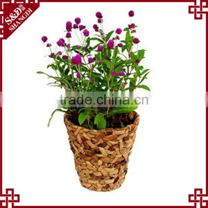 Indoor Decorative Flower Planter Water Hyacinth Woven Small Plant Pot thumbnail-1
