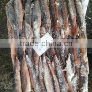 Under 150g Frozen Illex Squid for Sale thumbnail-4