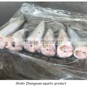 BQF Cheap Price Good Quality Frozen Pacific Mackerel thumbnail-3