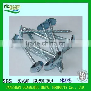 Umbrella Head Galvanized Roofing Nails With Rubber Gasket thumbnail-1