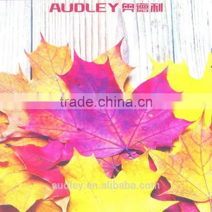 Audley 1600H5 Professionally Produce Auto Pneumatic One Side Cold Thermal Hot Roll Laminating Machine thumbnail-5
