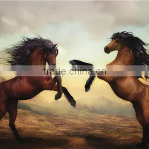 Hoof Cast thumbnail-3