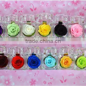 Wholesale Looking Natural Flowers Roses Natural Preserved Rose Head for Wedding Decoration thumbnail-1