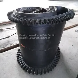 Sidewall Conveyor Belt thumbnail-3