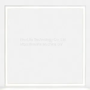 Frameless Led Panel Light NEW 600*600mm 48W 100lm/w CRI>80 thumbnail-3