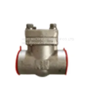 DIN/API Cast Steel Check Valve thumbnail-3