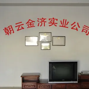 Guangdong Zhaoyun Jinji Industrial Co., Ltd. company overview - view 1 thumbnail