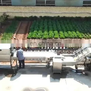 500kg One Hour Banana Chips Machine Fried Banana Chips Production Line for Sale thumbnail-1