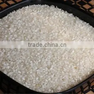 IDLY RICE thumbnail-1