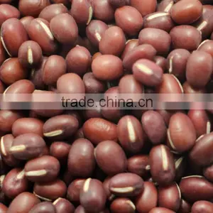 Organic Adzuki Beans thumbnail-1