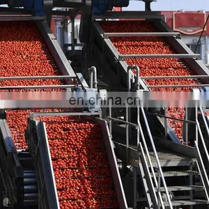 GENYOND Automatic Small Scale Tomato Paste Making Machine Production Line Tomato Paste Processing Equipments thumbnail-2