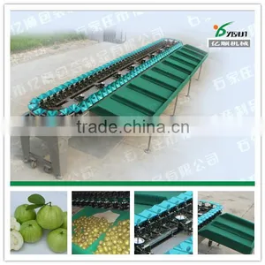 Avocado Fruit Sorting Machine thumbnail-6